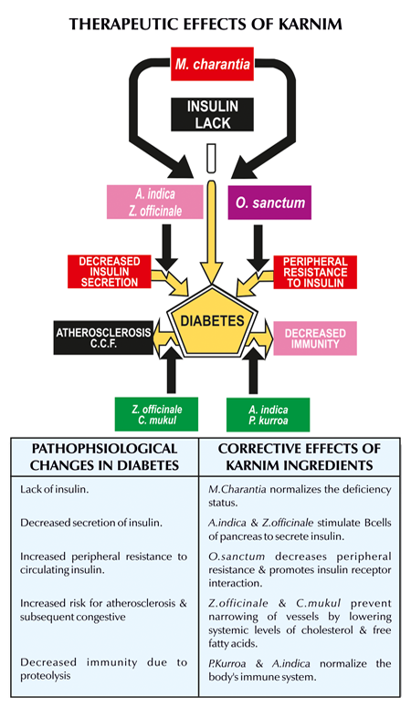 Therapeutic Role of Karnim