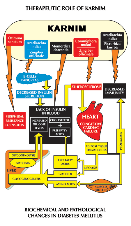 Therapeutic Role of Karnim