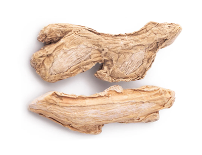 zingiber officinale (Sounth)